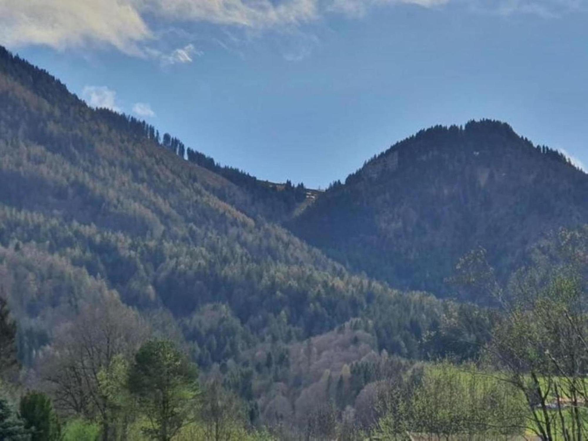 Pleasant Apartment In Ruhpolding With Swimming Pool Exteriör bild